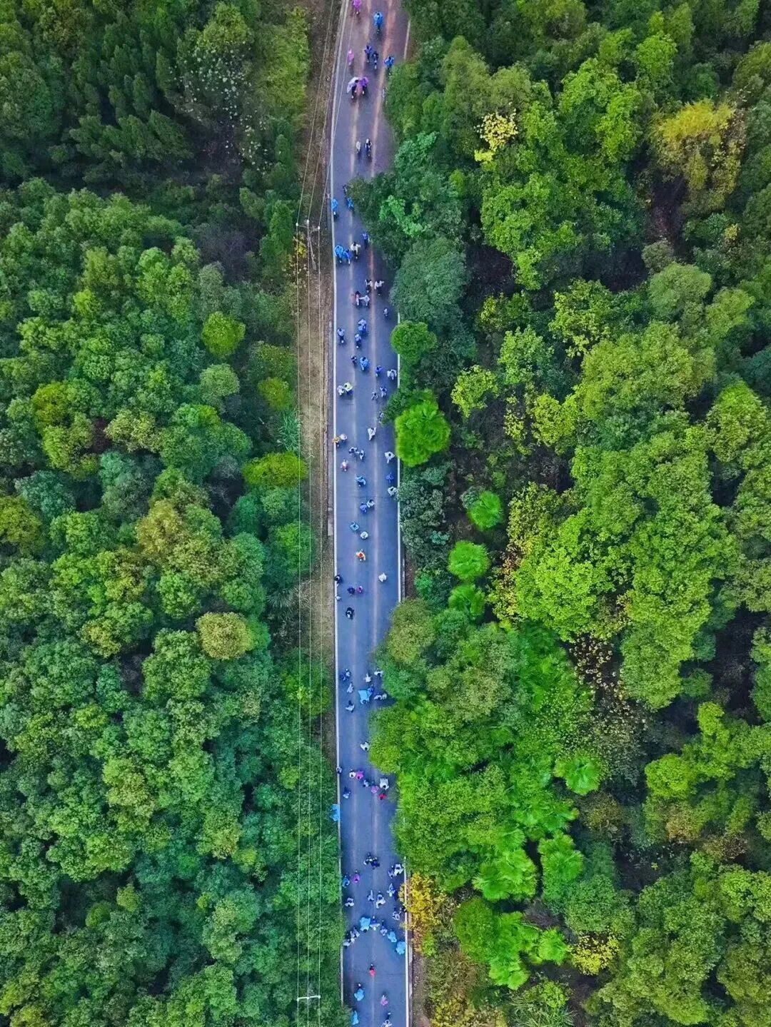体育投注网站