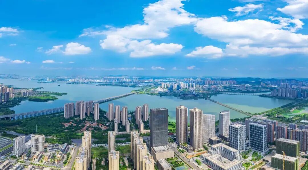 体育投注网站